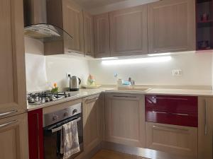 a kitchen with wooden cabinets and a stove top oven at MiniLevico in Levico Terme