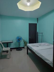 圣维森特Chevi's Place的一间卧室配有一张床和一张带风扇的书桌