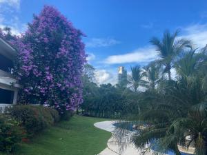 a tree with purple flowers next to a walkway at Cacao Suites With Pool in Coronado Luxury Club Golf & Beach in Chame
