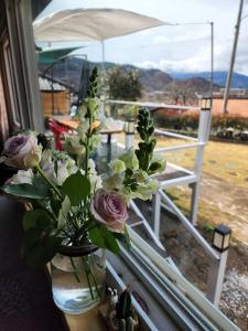 山景或在度假屋看到的山景