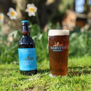 a bottle of beer sitting on the grass at Rose and Crown B&B in Burwash