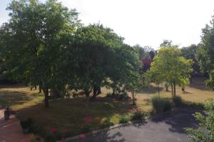 a view of a garden with trees and flowers at Les trois cèdres in Saint-ouen-dʼAunis +19 photos