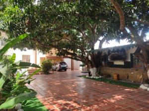 a tree in front of a building with a driveway at Quinta Xcaret in Cabudare