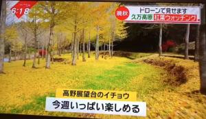 Mynd úr myndasafni af 大自然の中で満天の星空体験 í Kuma