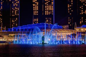 a fountain in the middle of a city at night at Marina Bay Sands in Singapore