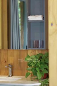 a bathroom sink with a potted plant on top of it at Tho Non Villa 01-6BR in Bao Loc