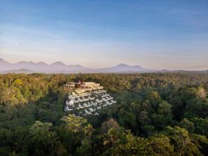 - une vue aérienne sur un complexe au milieu d'une forêt dans l'établissement Anantara Ubud Bali Resort, à Payangan