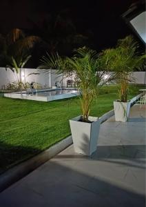 quelques plantes en pot assises sur un trottoir dans l'établissement Caza Cottage Terengganu, à Kampong Gong Badak