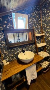 a bathroom with a sink and a mirror at Domek PoZiomek in Życiny