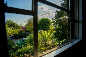 a view from a window of a garden at Dan Stam Hotel in Arusha