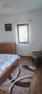een slaapkamer met een bed, een raam en een tapijt bij Apartment Bućić in Zlatibor