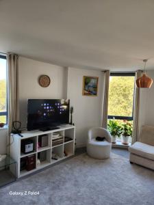 a living room with a flat screen tv and a couch at Tower Bridge - Saint Katherine's Dock in London
