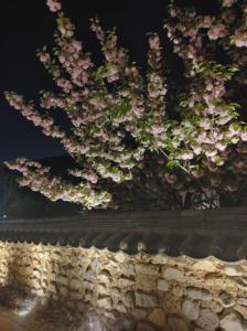 Fotografie z fotogalerie ubytování Healing hanok in Otgol village v destinaci Tegu