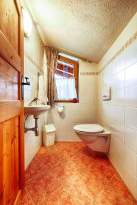 a bathroom with a toilet and a sink at Haus TIROL in Thiersee