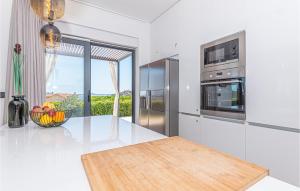 Kuchyň nebo kuchyňský kout v ubytování Pet Friendly Home In Tribunj