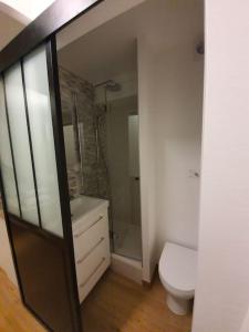 Un baño con inodoro blanco y ducha. en Pretty little flat near from DisneyLand Paris, en Bussy-Saint-Georges