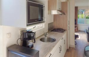 una piccola cucina con lavello e microonde di Pet Friendly Home In Heinkenszand a heinkenszand