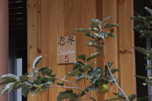 DiannanShaxi Upstay的相册照片