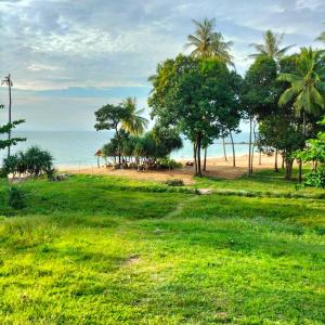 a grassy field with palm trees and a beach at Lanta Beautiful beach house in Ko Lanta