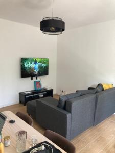 Le Nid D'Aiguelongue Parking Wifi Climatisation Terrasse في مونبلييه: غرفة معيشة مع أريكة وتلفزيون بشاشة مسطحة