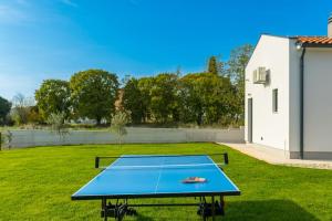 a ping pong table in the middle of a yard at Villa Drandic by IstriaLux in Bale