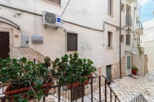 une allée avec des plantes en pot devant un bâtiment dans l'établissement Dimora Marter, city center, à Conversano