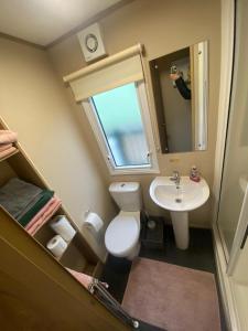 a small bathroom with a toilet and a sink at Superb luxury caravan, Todber Valley Holiday Park, in Gisburn