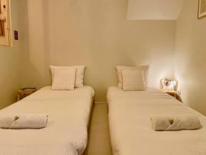 two beds in a room with a cat sitting between them at Le Joyeux - T3 au coeur du Quartier Haut in Sète