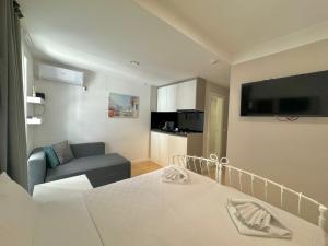 TV a/nebo společenská místnost v ubytování Apartmani Terminal