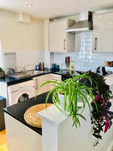 a kitchen with a table with a plant on it at 20 minute to central London beautiful apartment in London