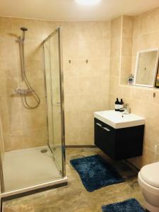 a bathroom with a shower and a sink and a toilet at 20 minute to central London beautiful apartment in London