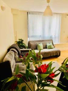 a living room with a couch and a plant at 20 minute to central London beautiful apartment in London +3 photos