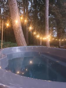 东迪勒姆Gingerbread Cottage Yurts的相册照片