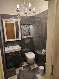 a bathroom with a toilet and a sink and a mirror at Apartment Fritz in Leipzig +8 photos