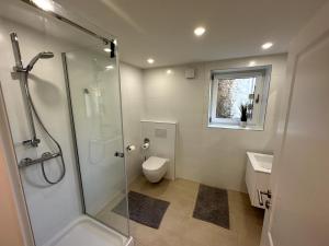 HelfantHelfant Luxembourg Deluxe Double Room 1的带淋浴和卫生间的浴室以及窗户。