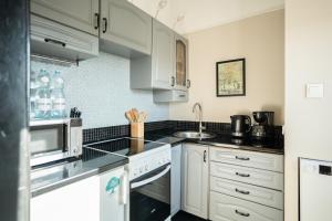 Kuchyňa alebo kuchynka v ubytovaní Blue Apartment Rajska