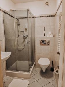 a bathroom with a shower and a toilet at Pokoje hotelowe Azyl in Kąty Wrocławskie