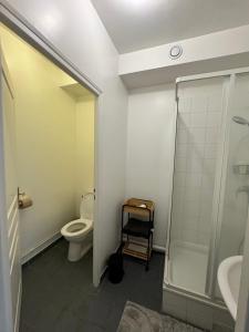 a bathroom with a toilet and a shower and a sink at Studio idéal Gare & Centre-Ville in Conflans-Sainte-Honorine
