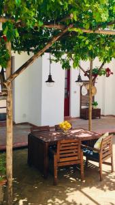 カステッランマーレ・ディ・スタービアにあるSECRET GARDEN apartmentの木の下の椅子