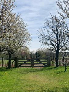 a wooden fence in a field with two trees at Sams Cottage in Roermond