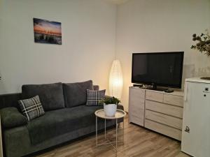 TV a/nebo společenská místnost v ubytování Apartmány Žireč