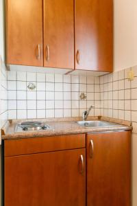 Kuchyň nebo kuchyňský kout v ubytování Apartments Paradiso