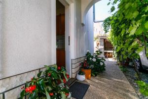 Zahrada ubytování Apartments Paradiso