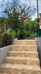 un conjunto de escaleras con un arbusto con flores rosas en Maison de charme à Petit Bourg avec piscine partagée, en Petit-Bourg
