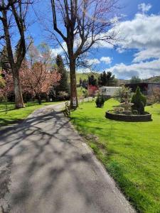 a road in a park with trees and grass at Glan yr Afon Dau - Relax Recuperate Hot Tub in Welshpool