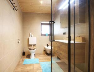 a bathroom with a toilet and a sink at Almliesl GAST-719 in Bad Gastein
