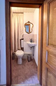 a bathroom with a toilet and a sink at Central & quiet, Full apt for 8 Trésor caché in Colmar