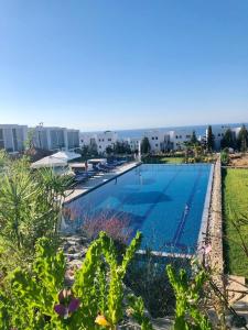 Πισίνα στο ή κοντά στο Retreat, block B2, unit 6