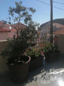 Fotografie z fotogalerie ubytování Favinha Rooftop v destinaci Machico