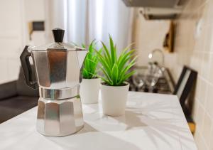 a blender sitting on a table with two plants at Casa Fatmin in Tirrenia